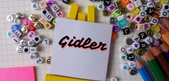 Gidler Software